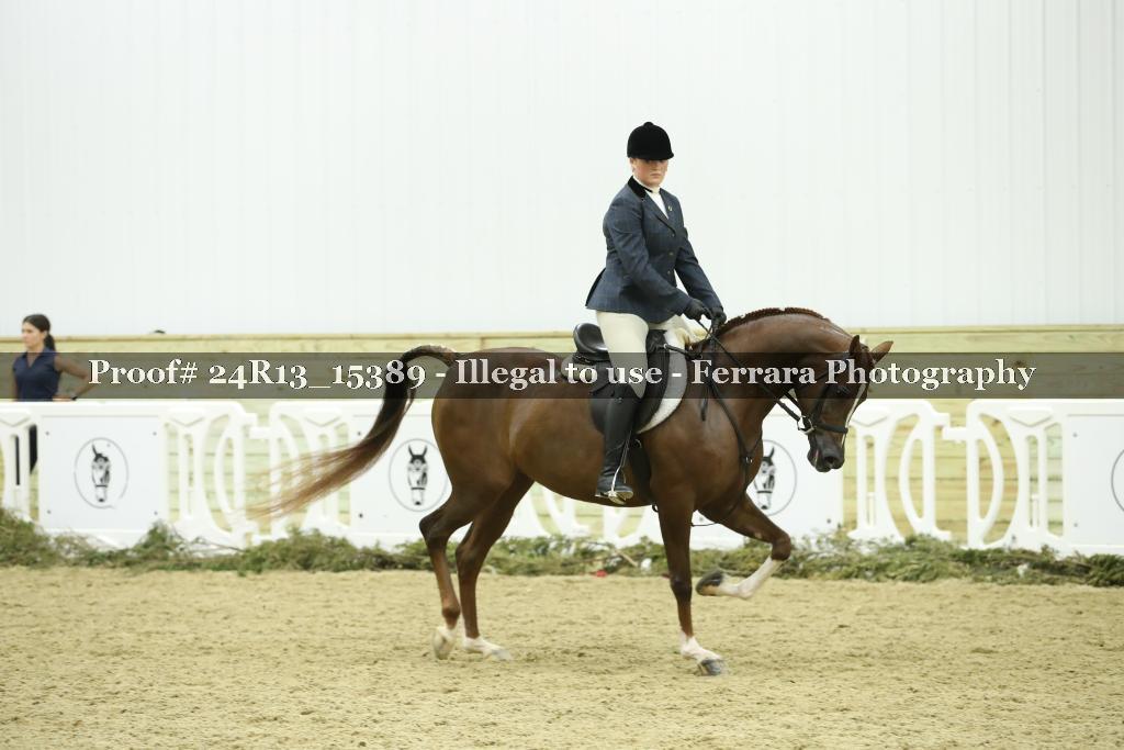 Proof 24R13_15389