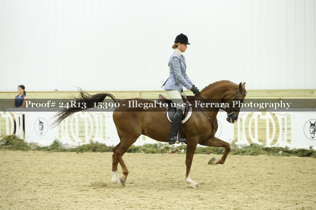 Proof 24R13_15390