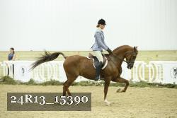 24R13_15390 proof