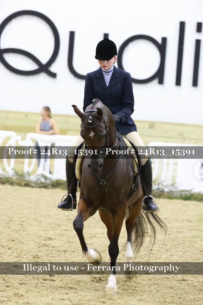 Proof 24R13_15391