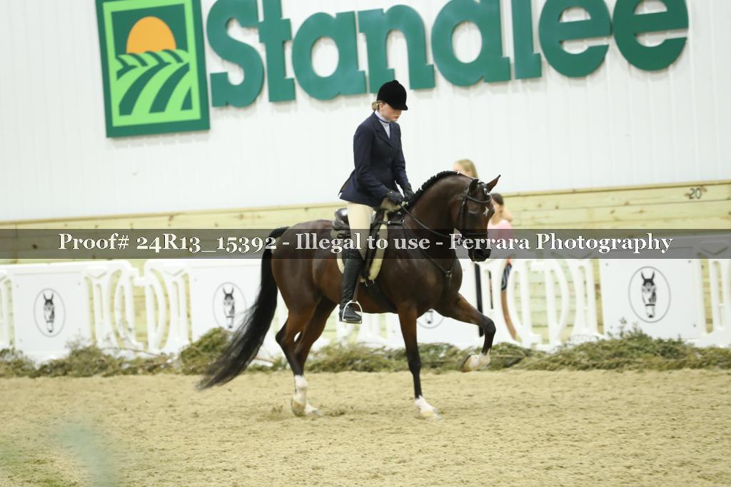 Proof 24R13_15392