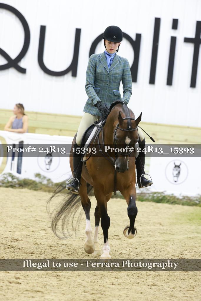 Proof 24R13_15393