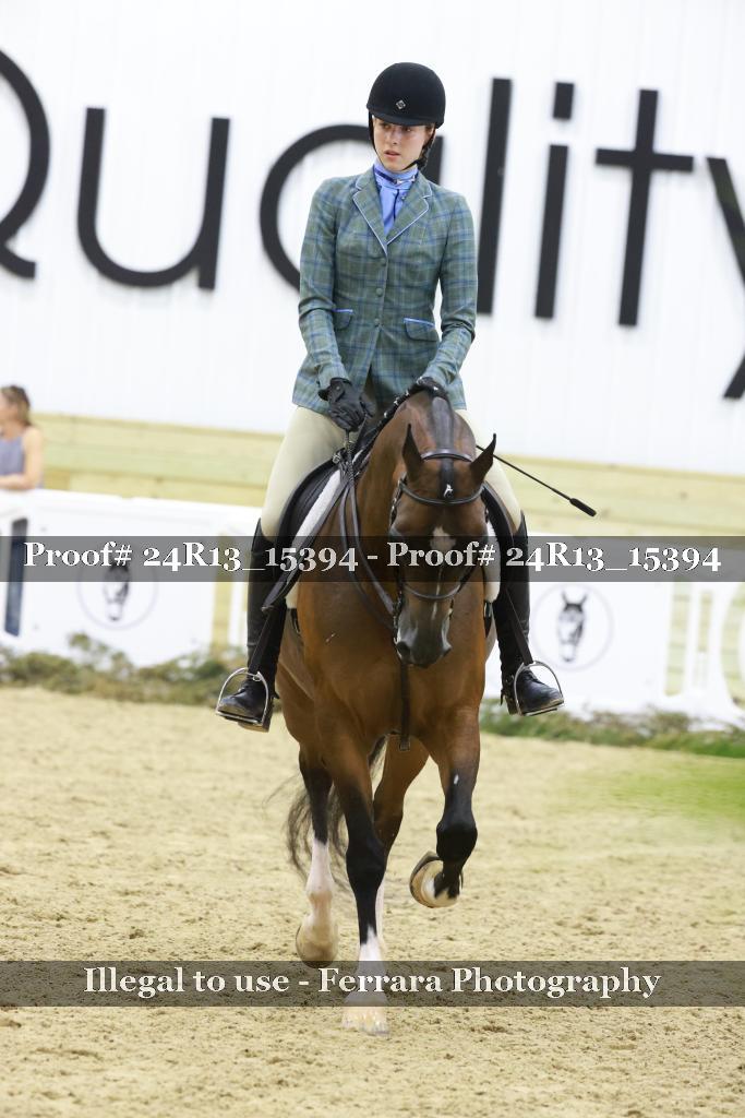 Proof 24R13_15394