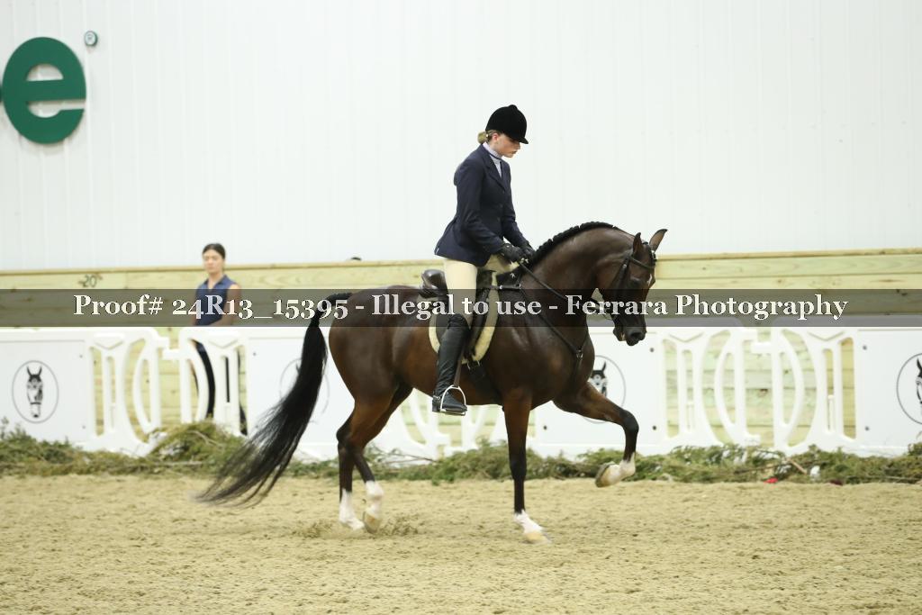 Proof 24R13_15395