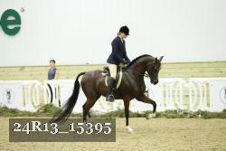 24R13_15395 proof