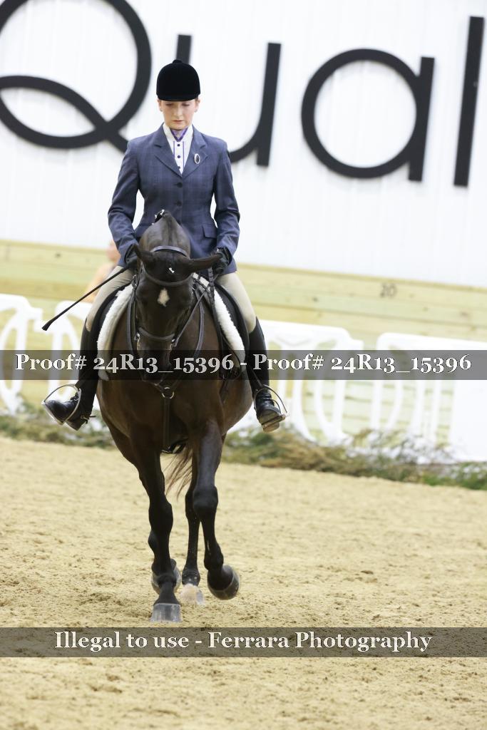 Proof 24R13_15396