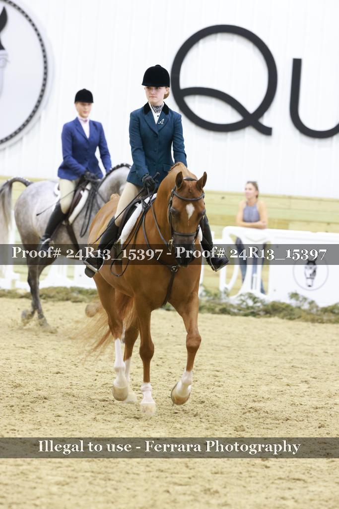 Proof 24R13_15397