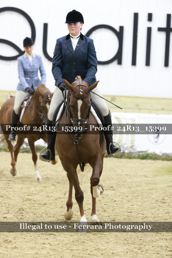 Proof 24R13_15399