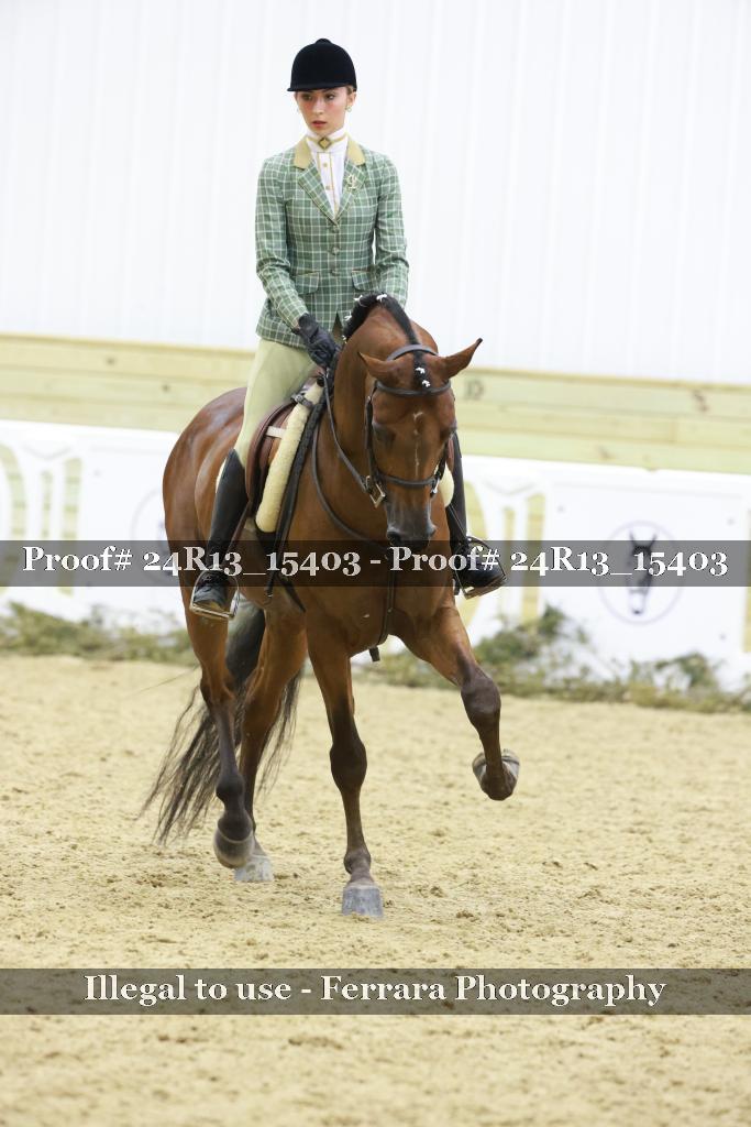 Proof 24R13_15403