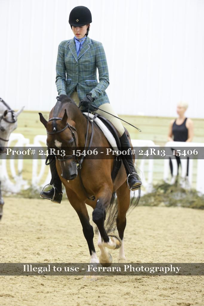 Proof 24R13_15406