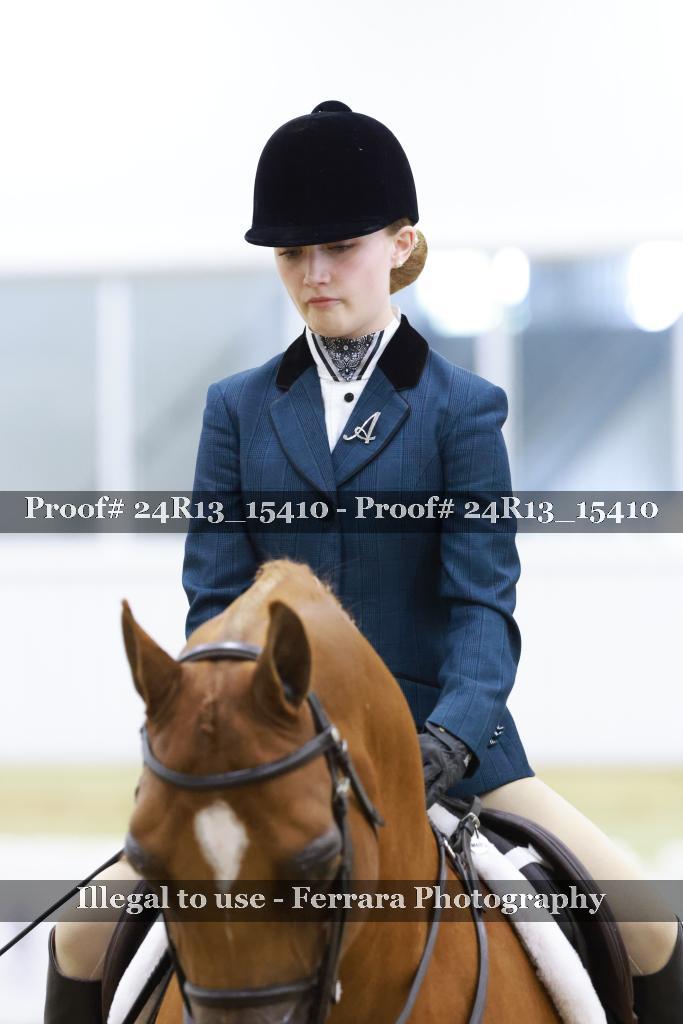 Proof 24R13_15410