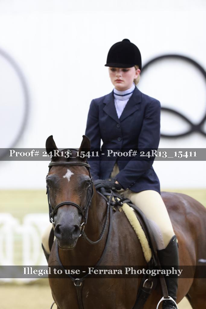 Proof 24R13_15411