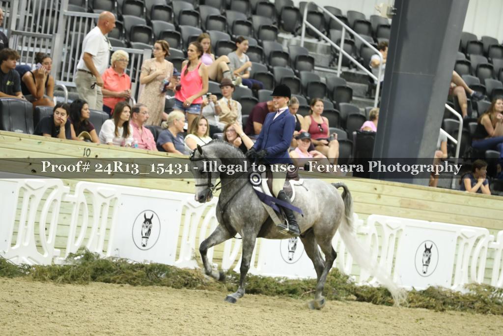 Proof 24R13_15431