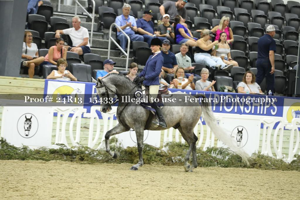 Proof 24R13_15433