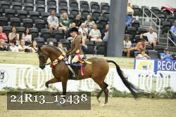 24R13_15438 proof