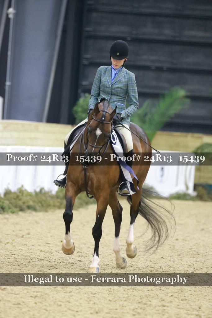 Proof 24R13_15439