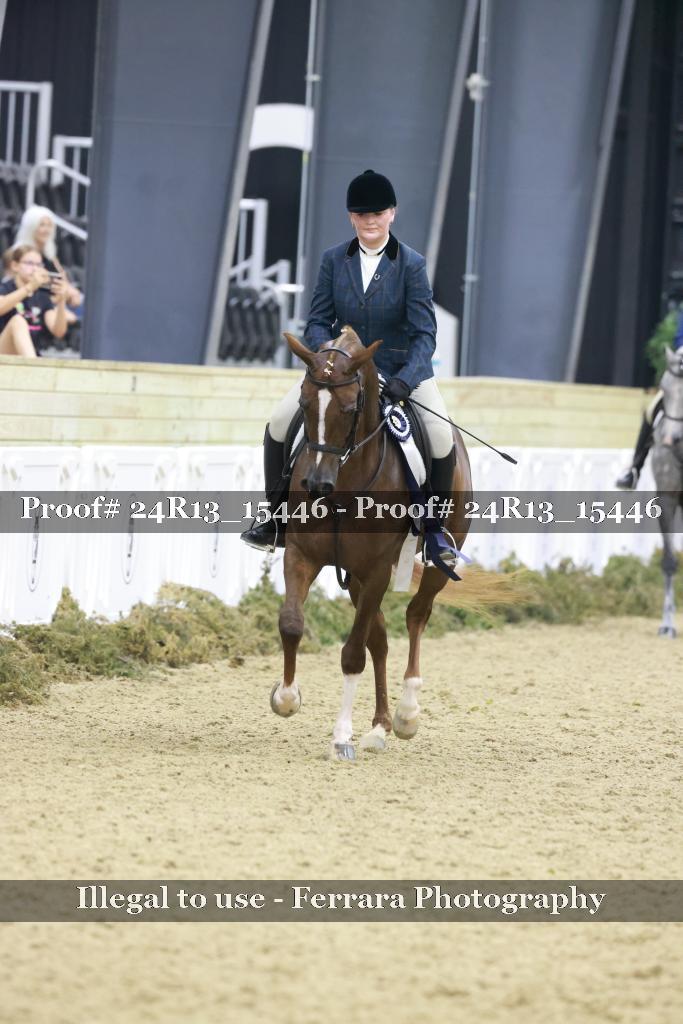 Proof 24R13_15446