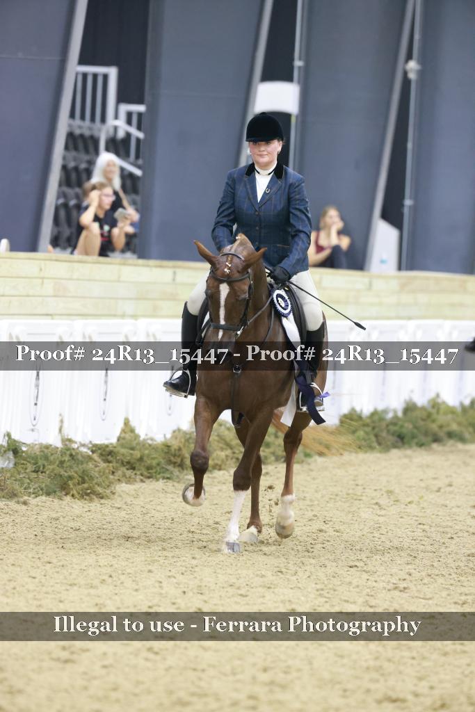 Proof 24R13_15447