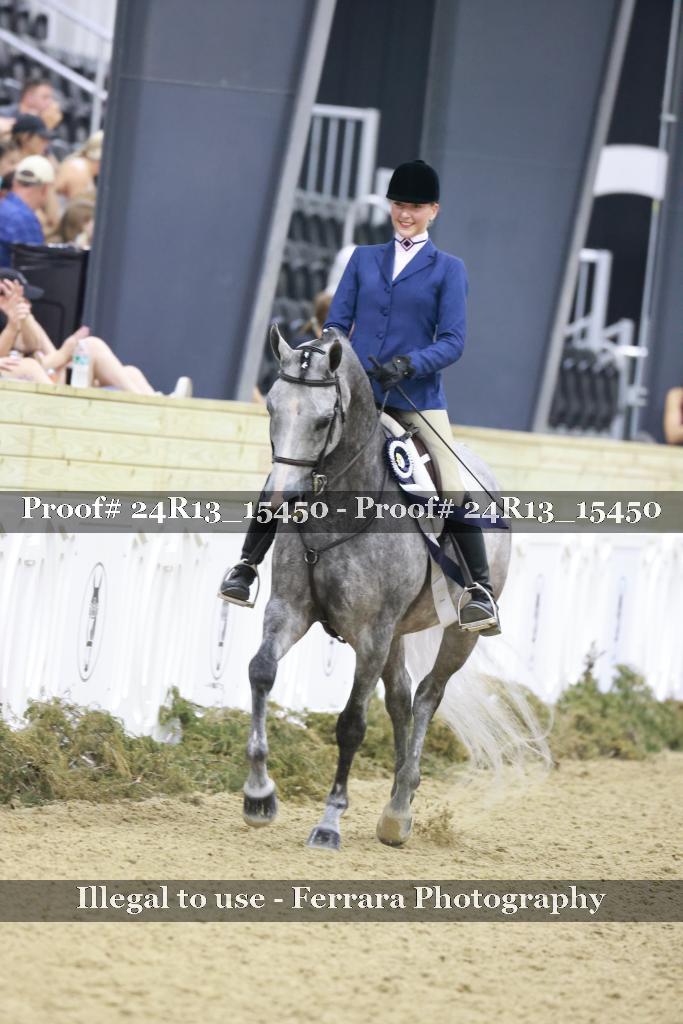 Proof 24R13_15450