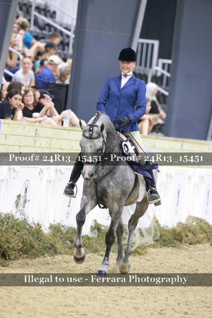 Proof 24R13_15451