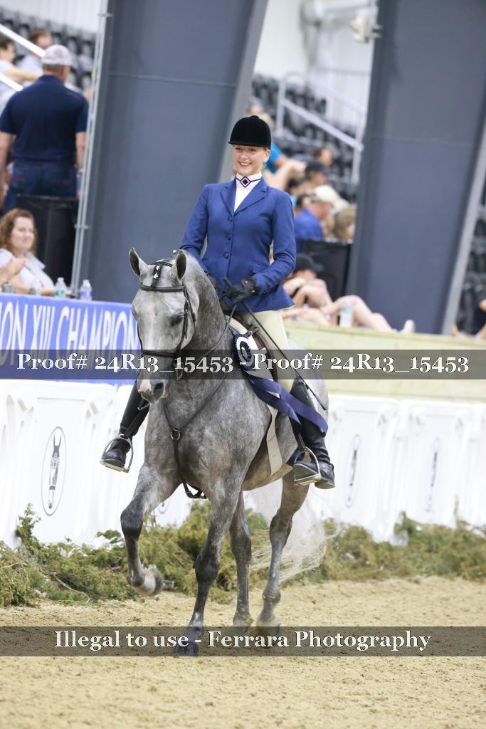 Proof 24R13_15453