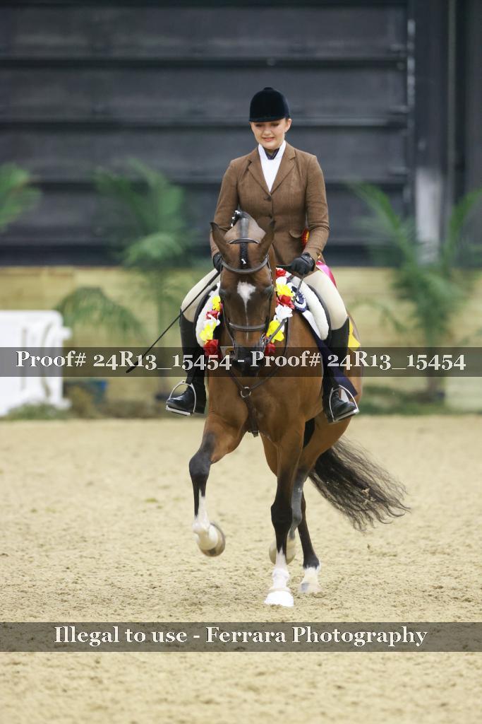 Proof 24R13_15454