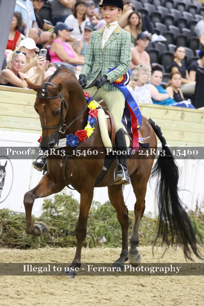 Proof 24R13_15460