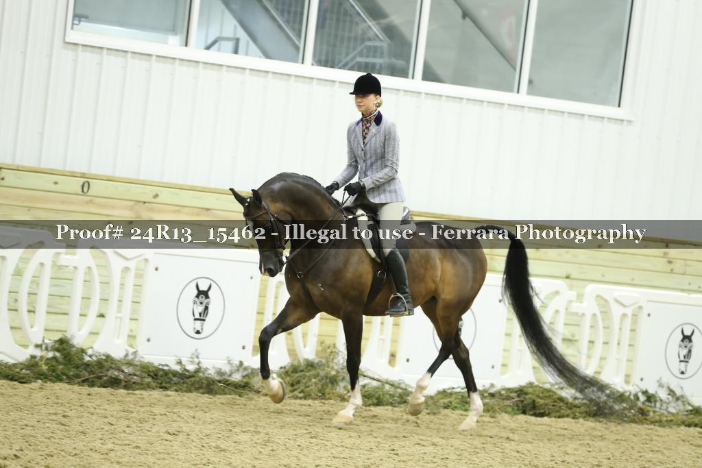 Proof 24R13_15462
