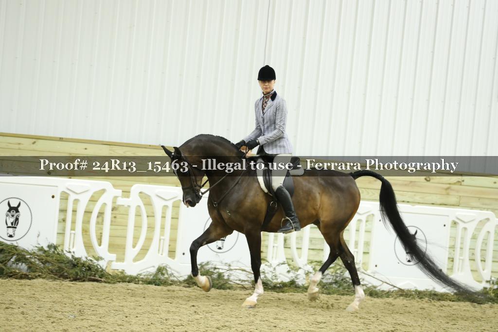 Proof 24R13_15463
