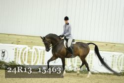 24R13_15463 proof