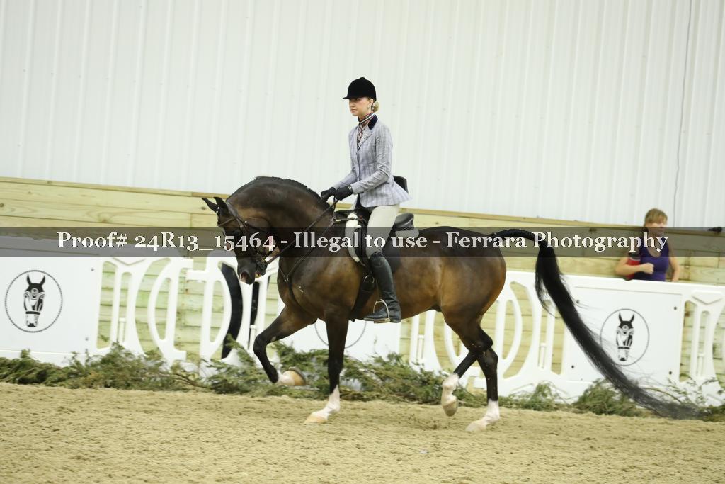 Proof 24R13_15464