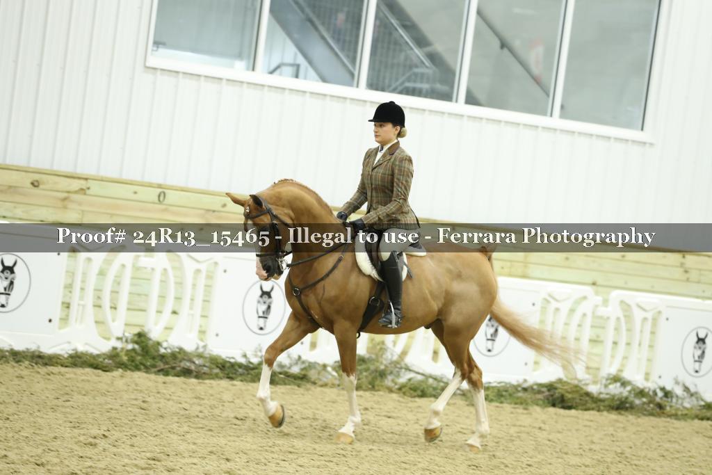 Proof 24R13_15465