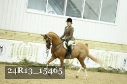 24R13_15465 proof