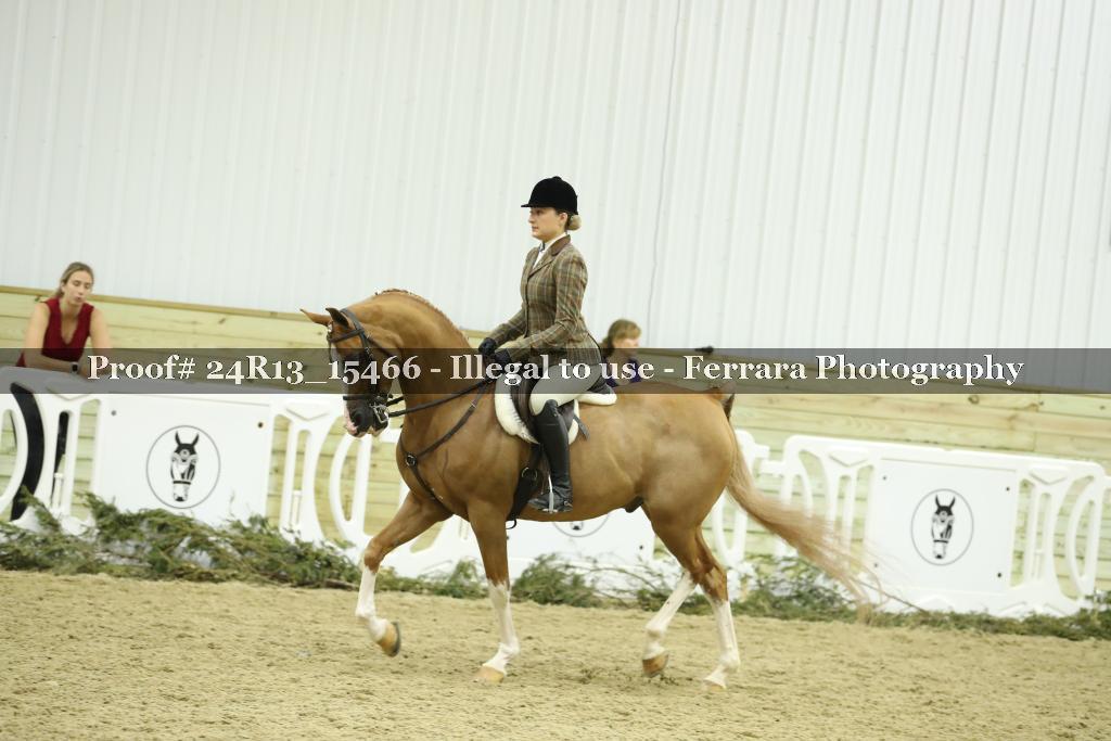 Proof 24R13_15466