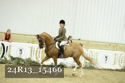 24R13_15466 proof