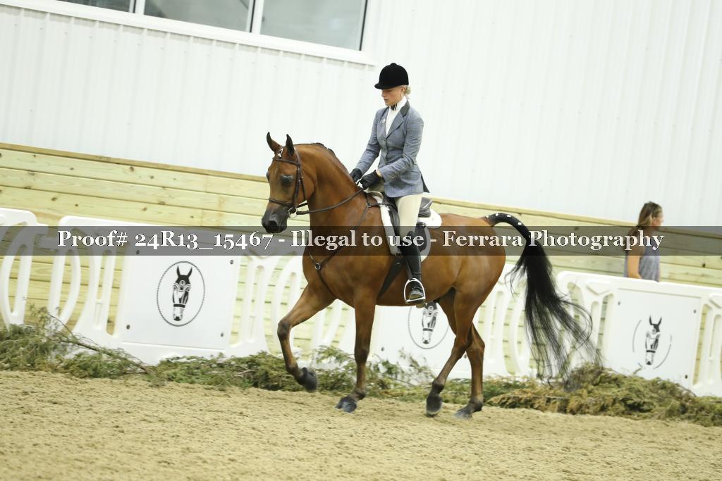 Proof 24R13_15467
