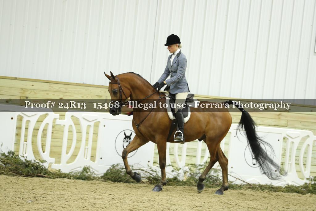 Proof 24R13_15468