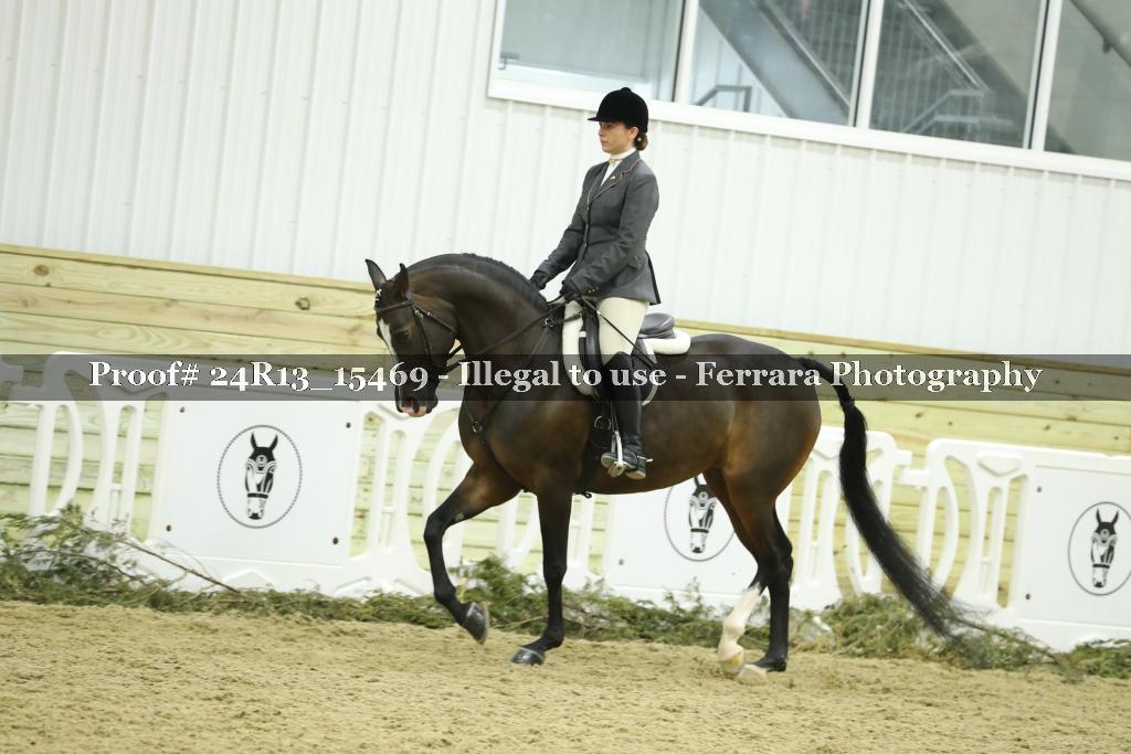 Proof 24R13_15469