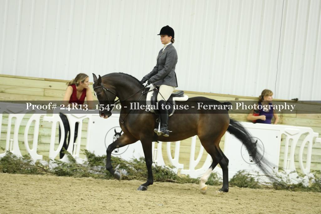 Proof 24R13_15470