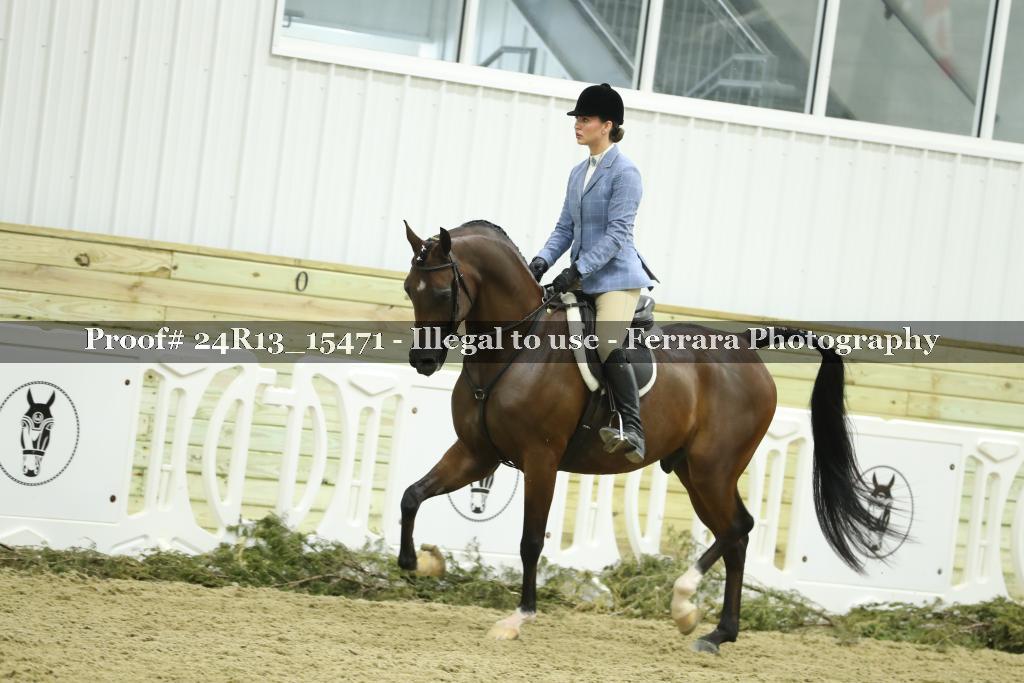 Proof 24R13_15471