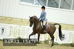 24R13_15471 proof