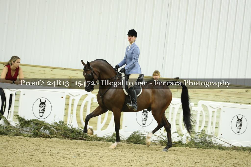 Proof 24R13_15472