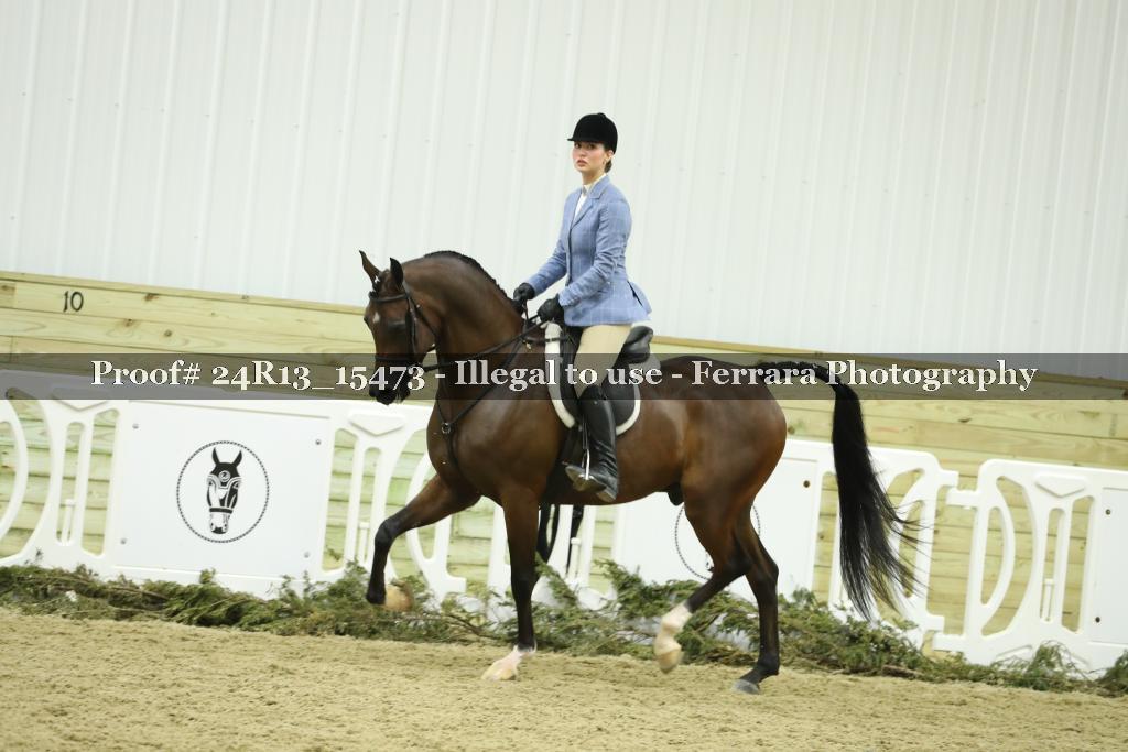 Proof 24R13_15473