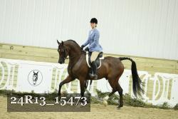 24R13_15473 proof
