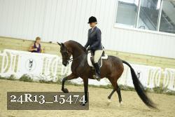 24R13_15474 proof