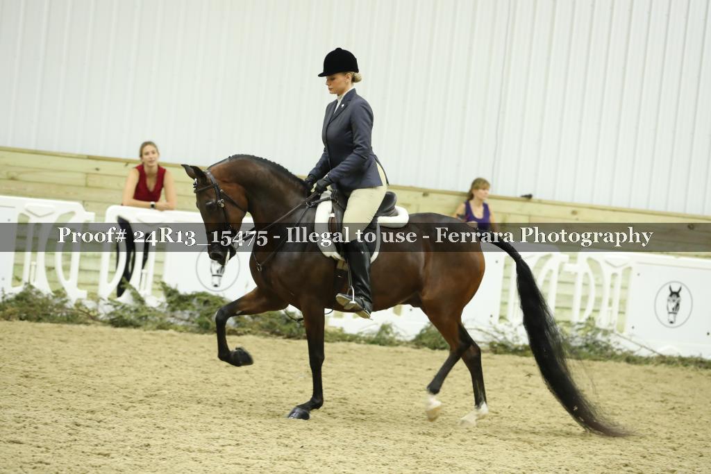 Proof 24R13_15475