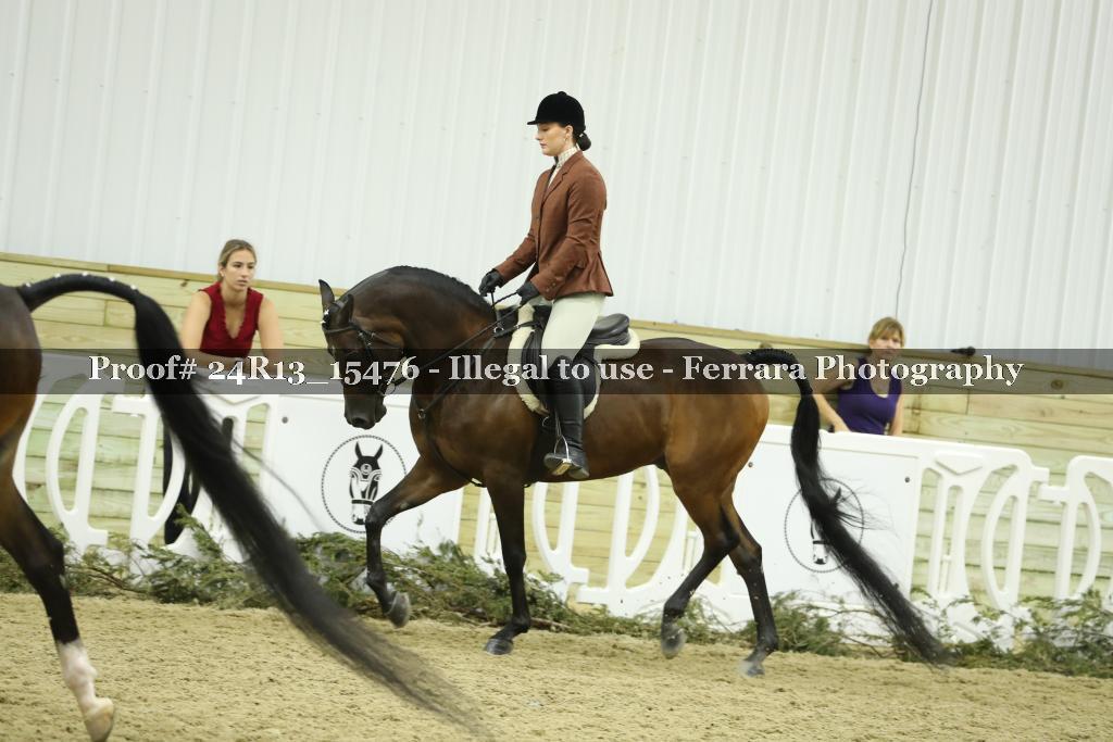 Proof 24R13_15476