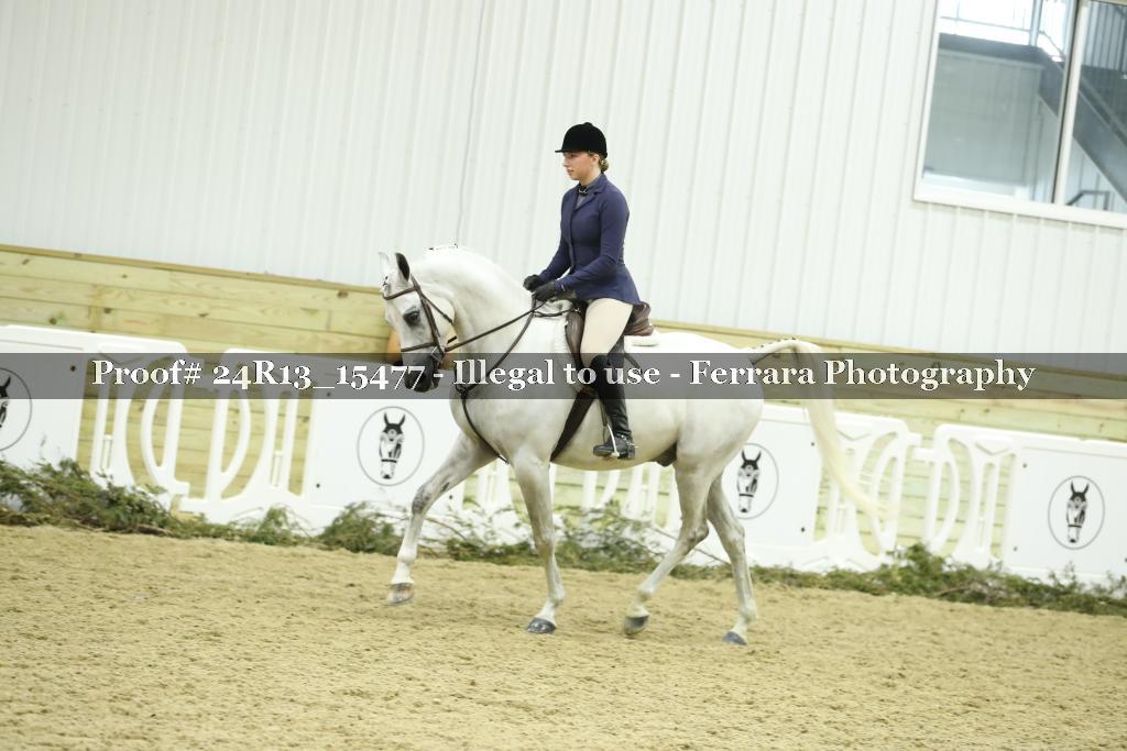 Proof 24R13_15477