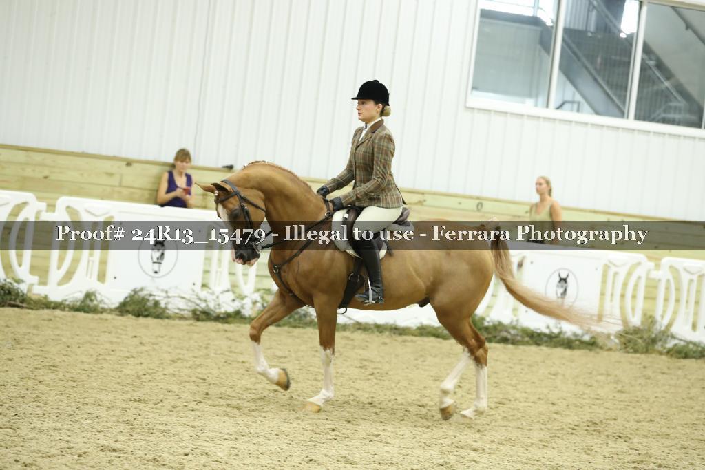 Proof 24R13_15479