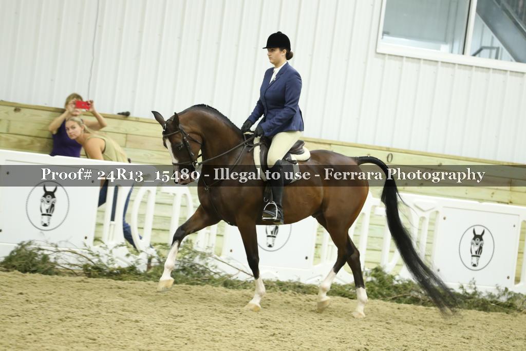 Proof 24R13_15480